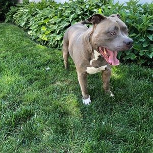 Meet your Posher, Lj